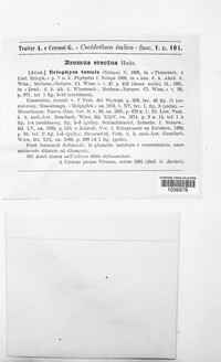 Image Associated With the Occurence